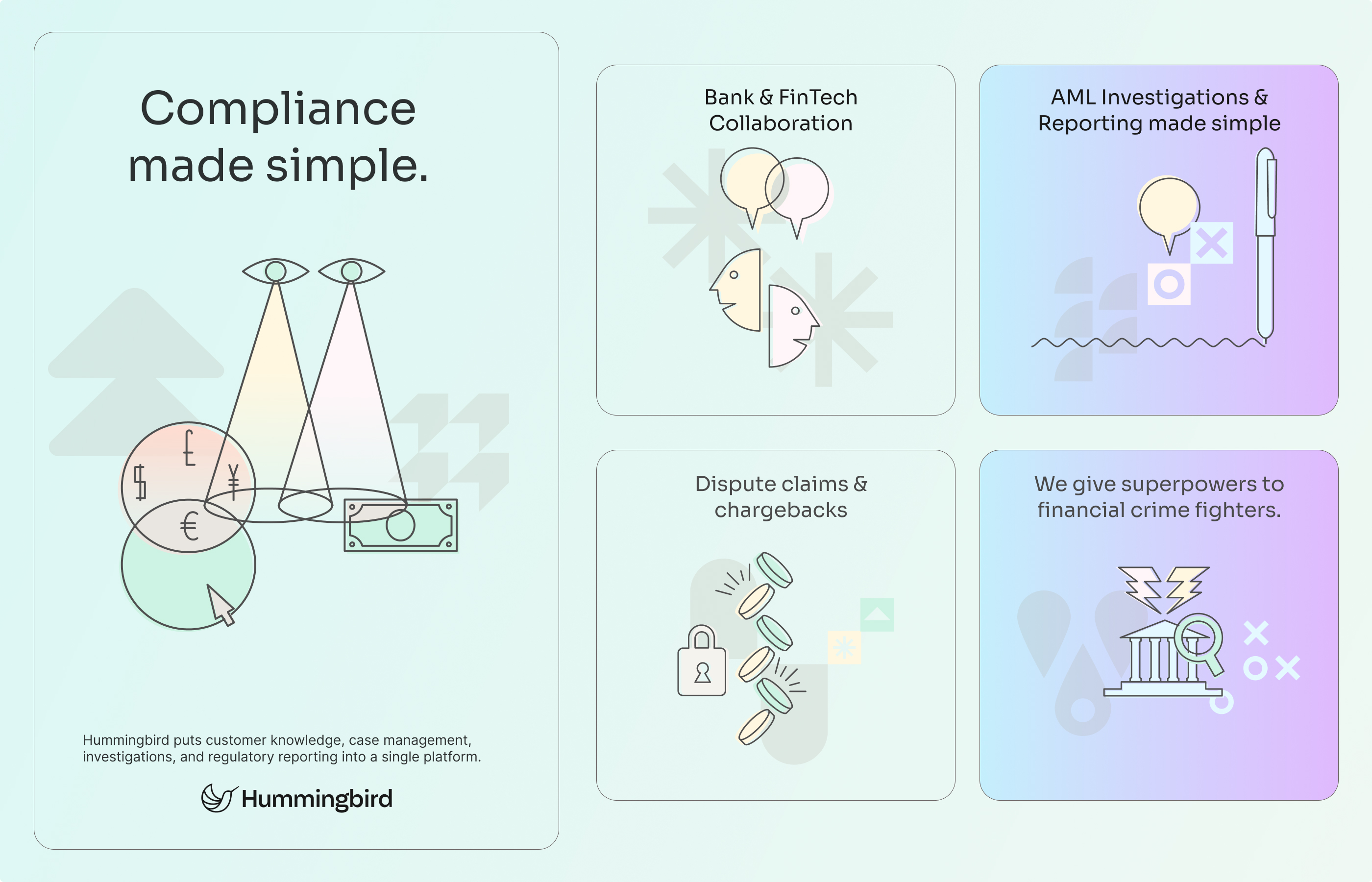 Hummingbird brand illustrations